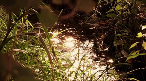 Irrigation canal 库存影片 33326419