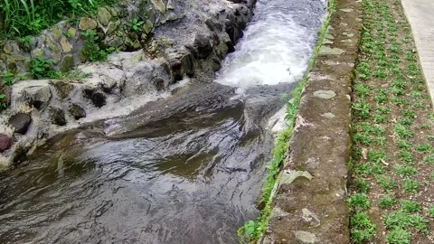 Irrigation canal Stock Footage 167798786