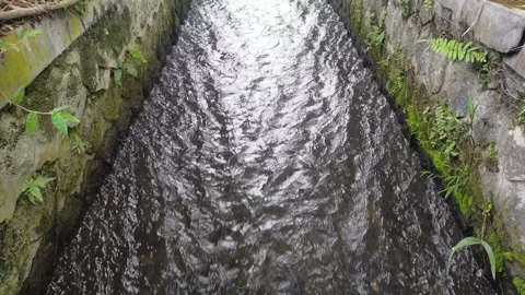 Irrigation canal Video stock 291408814