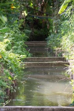 Irrigation canal Stock Photos