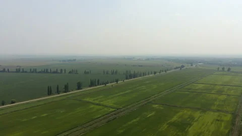 Irrigation canal runs parallel auto road Stock Footage 155360549