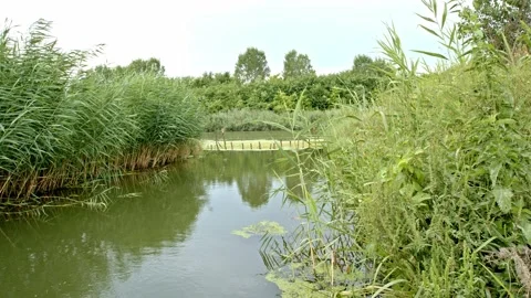 Irrigation canal in summer Stock Footage 171557988