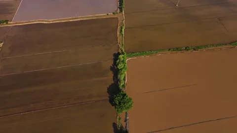 Irrigation Canal System Supply Water For Rice Paddy Fields Stock Footage 340453699