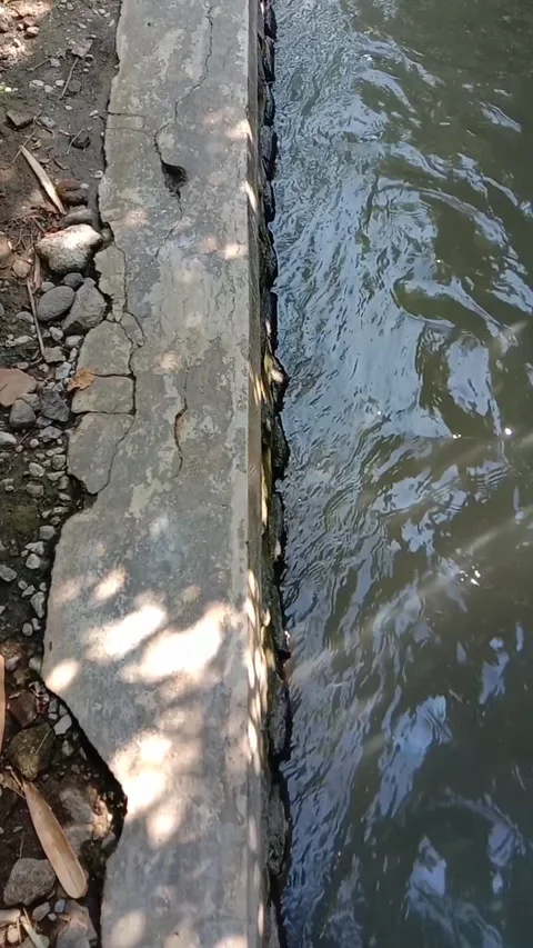 Irrigation canals Stock Footage 287093535