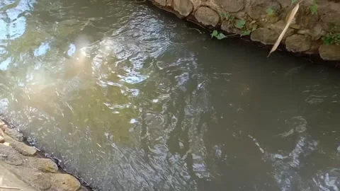 Irrigation canals Stock Footage 287093721