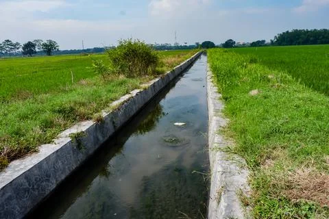Irrigation canals Stock Photos