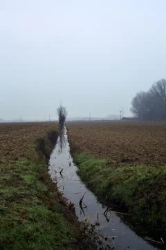 Irrigation channel with bare trees by it between cultivated fields on a mis.. Stock Photos