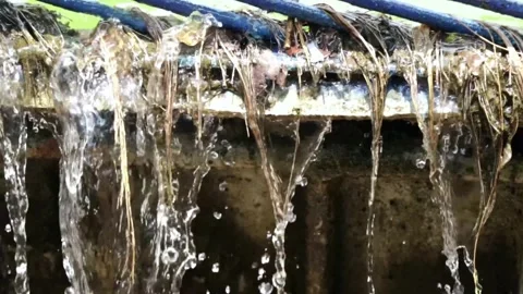 Irrigation channels blocked by garbage Stock Footage 284498927