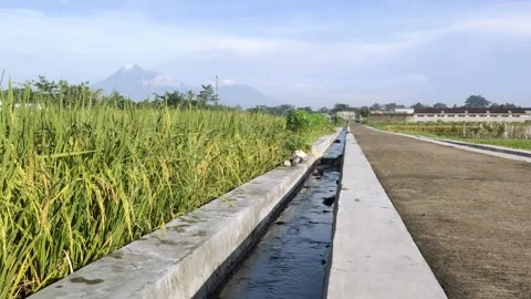 Irrigation Channels in The Countryside Stock Footage 296566228