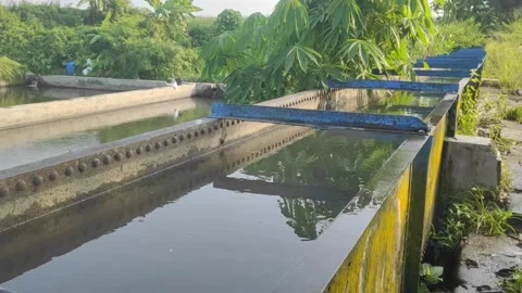 Irrigation Channels Stock Footage 273534908