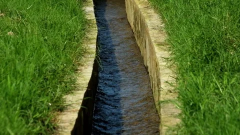 Irrigation channels in rice fields Stock Footage 320053285