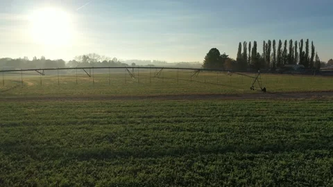 Irrigation circle and farm fields aerial with morning sunlight in rural America Stock Footage 144348049