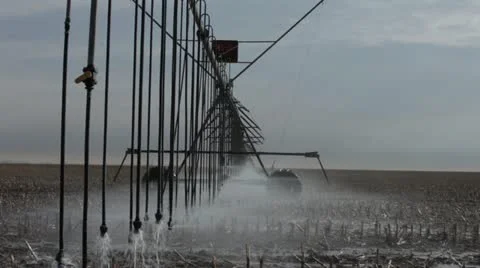 Irrigation in Corn Field 2 Stock Footage 11910763