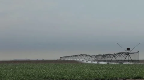 Irrigation in Corn Field Stock Footage 11910664