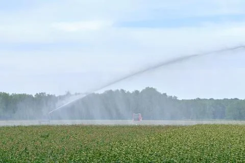 Irrigation of crops from the device to water the fields in the background, in Foto stock