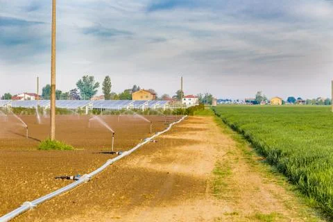Irrigation of cultivated fields Stock Photos