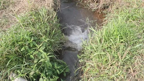 Irrigation ditch in the fields Stock Footage 243282577