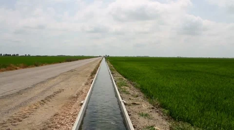 Irrigation ditch Vidéo 7763219