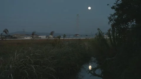 Irrigation ditch with full moon reflection at Japanese Countryside, Tilt Shot Vidéo 344854127