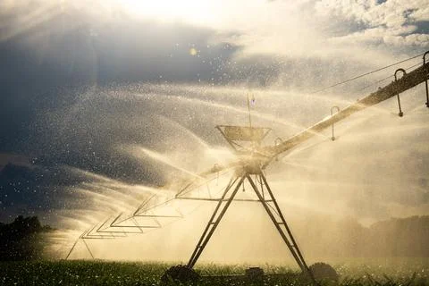 Irrigation droplets sparkle under sky. Continuous irrigation nourishes fertil Stock Photos