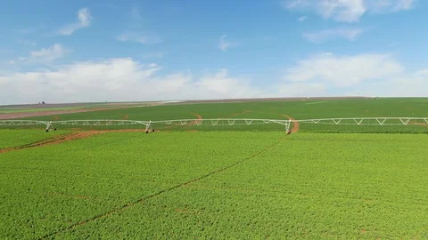 Irrigation On A Farm Stock Footage 125848248