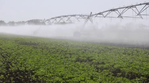 Irrigation of the field Stock Footage 10751103