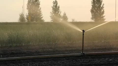 Irrigation of the field Stock Footage 10762386