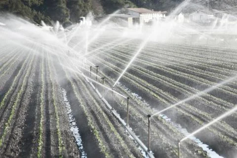 Irrigation in a Field Stock Photos