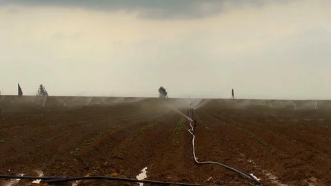 Irrigation in fields 0001 Video stock 113319928
