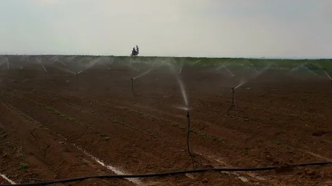 Irrigation in fields 0002 Stock Footage 113319929