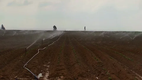 Irrigation in fields 0003 Stock Footage 113319941