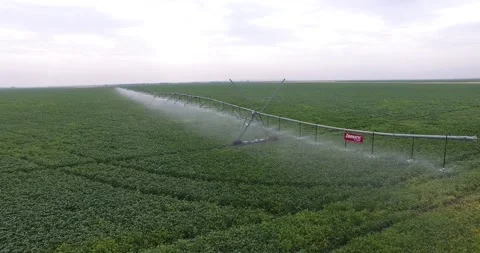 Irrigation of fields Stock Footage