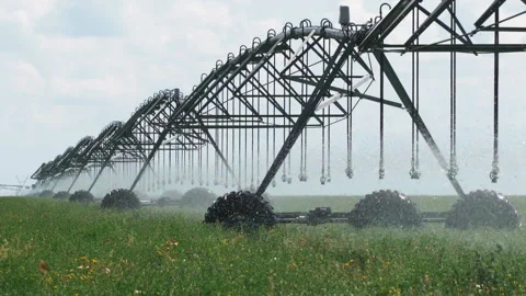 Irrigation of fields 스톡 동영상 186587717