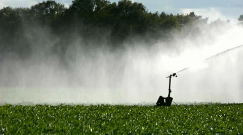Irrigation Stock Footage 24720208