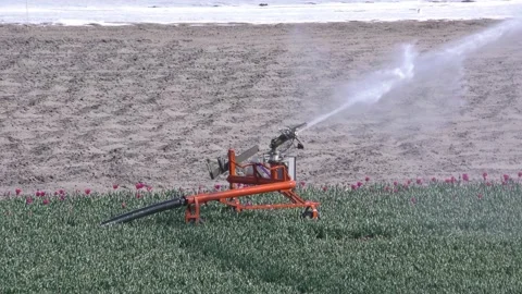 Irrigation 스톡 동영상 131097961