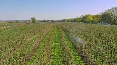 Irrigation Stock Footage 142104350