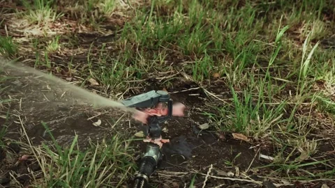 Irrigation Stock Footage 196887482