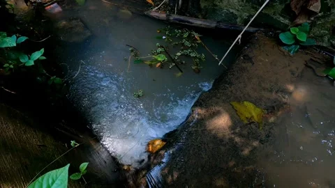 Irrigation Stock Footage 258817059