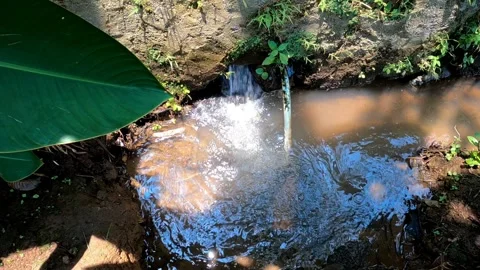 Irrigation Stock Footage 258817374