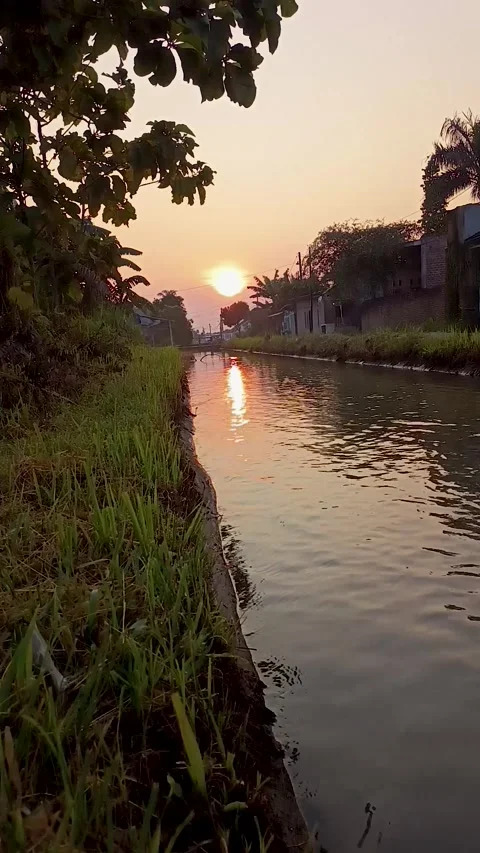 Irrigation Stock Footage 309871940