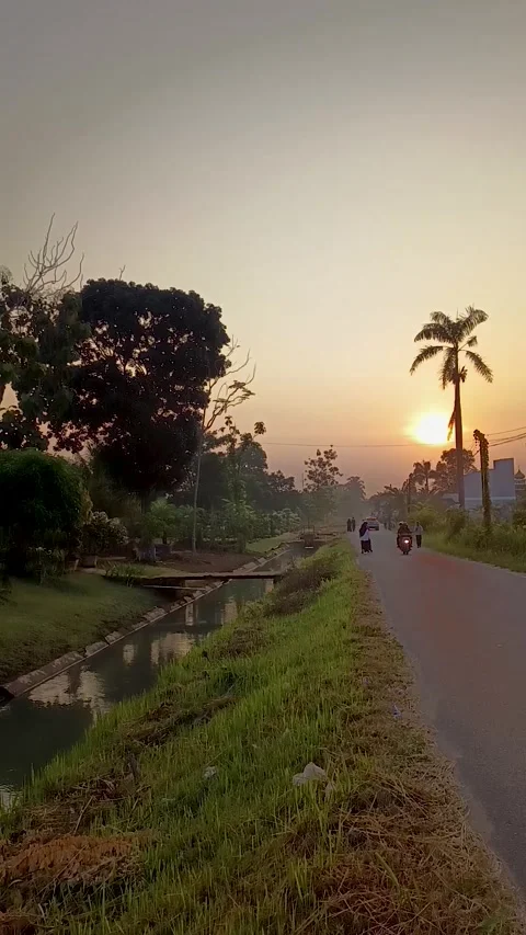 Irrigation Stock Footage 309871942