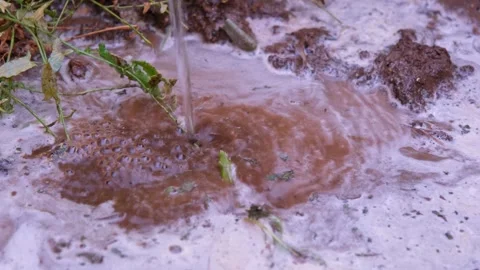 Irrigation Stock Footage 338390769