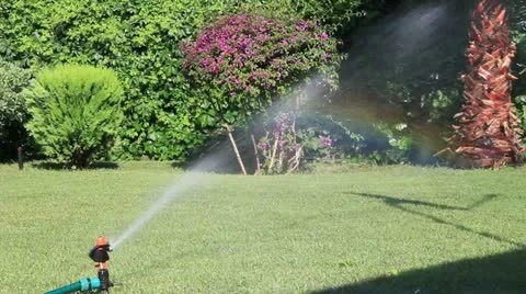 Irrigation of the grass Stock Footage 11703387