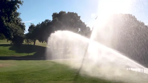 Irrigation of the grass of a golf course at sunrise Stock Footage 169075069
