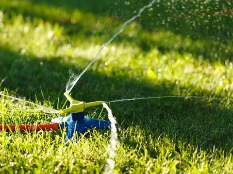 Irrigation of green grass Foto stock