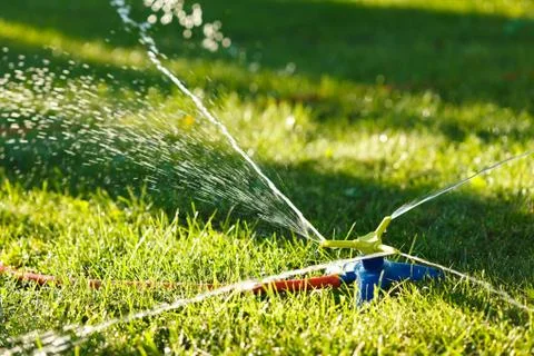 Irrigation of green grass Foto stock