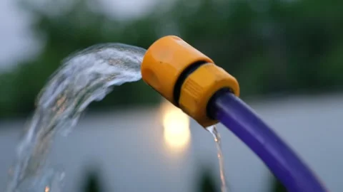 The irrigation hose in the garden is working Stock-Footage 246925646