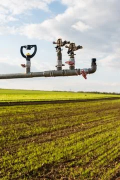 Irrigation on lettuce fields Stock Photos