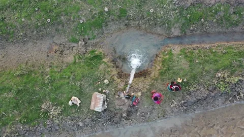 Irrigation in Paddy field Stock Footage 252158883