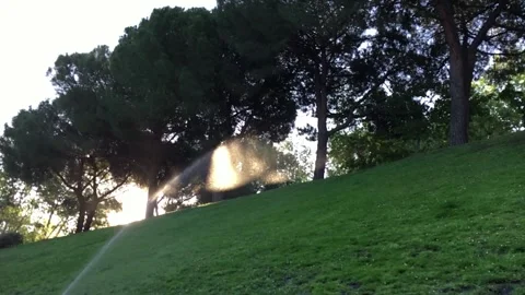 Irrigation in a park Stock Footage 311563586